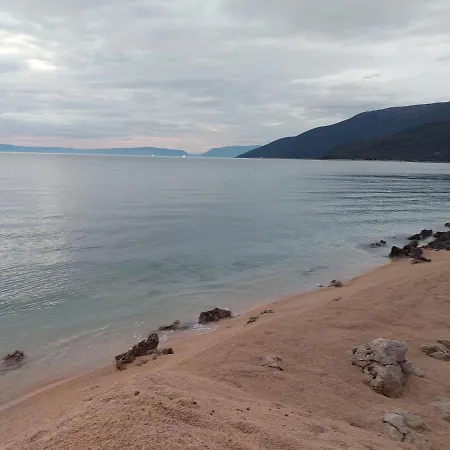 Gavza Joy * ツレス