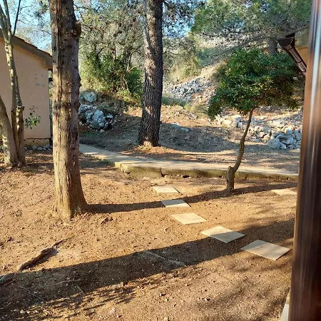 Gavza Joy בית נופש