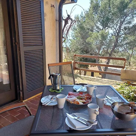 Gavza Joy Cres
