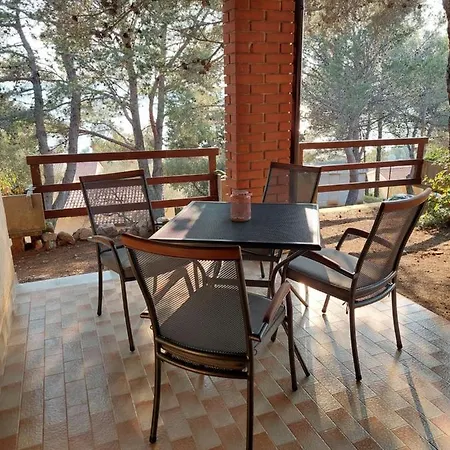 Gavza Joy Cres