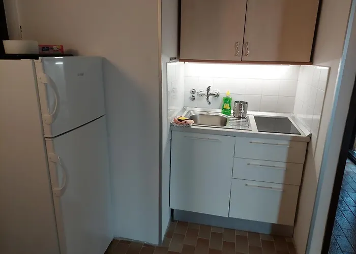 Gavza Joy Vikendica *