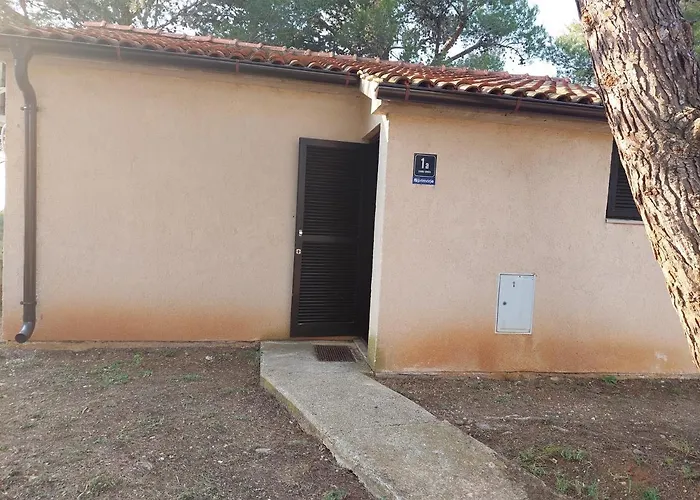 Gavza Joy Semesterbostad Cres