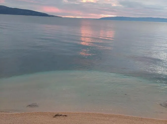 Gavza Joy Vikendica *